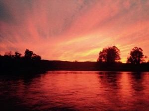 FullSizeRender.jpg-2