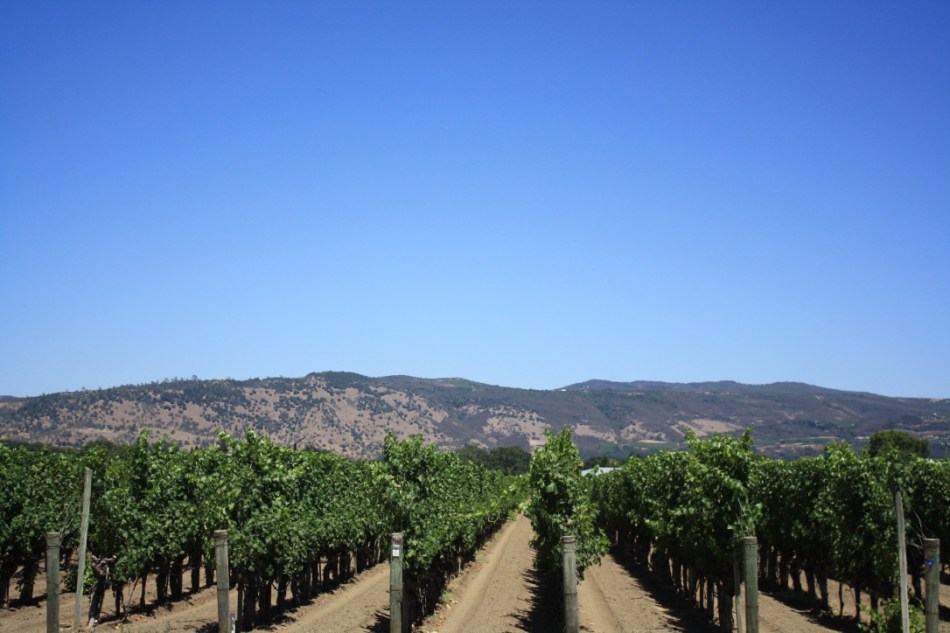 Napa Valley, The Love Bungalow